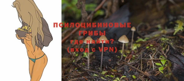 молекула духа Волосово