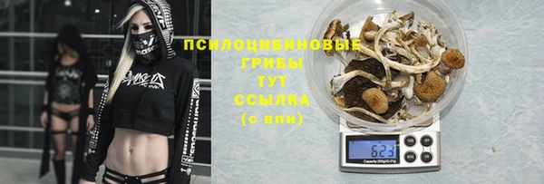 соль ск Вязьма