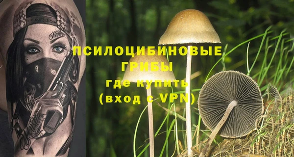 PSILOCYBIN Вяземский
