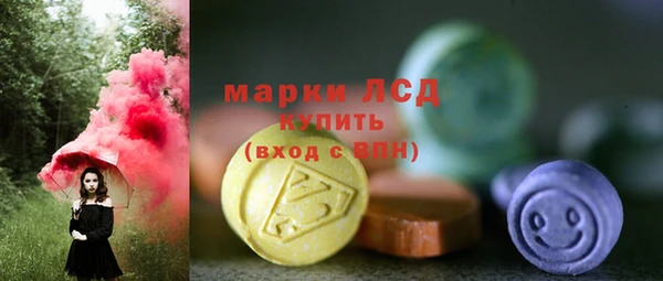 соль ск Вязьма
