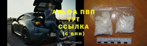 PSILOCYBIN Вяземский