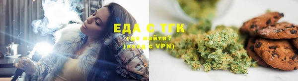 PSILOCYBIN Вяземский
