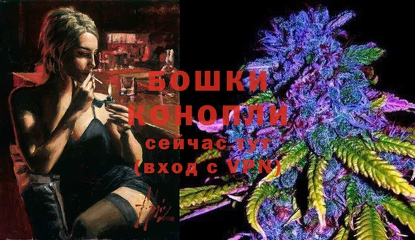 PSILOCYBIN Вяземский