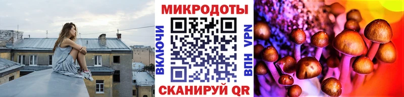Купить закладки  Кимры  Галлюциногенные грибы прущие грибы 